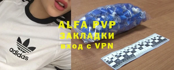 гидра Абаза