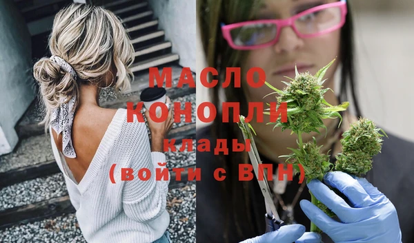гидра Абаза