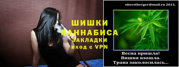 гидра Абаза
