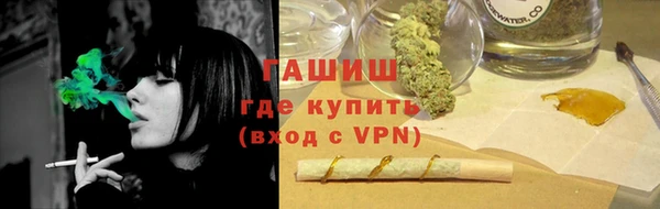 гидра Абаза