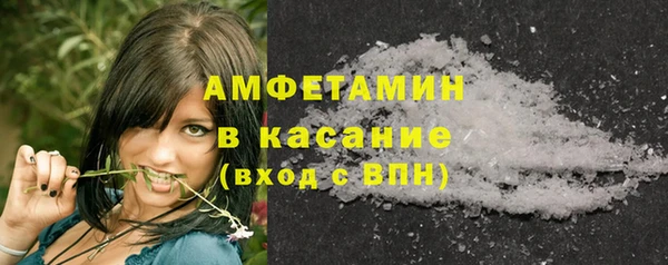 гидра Абаза