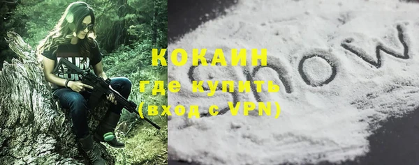 гидра Абаза
