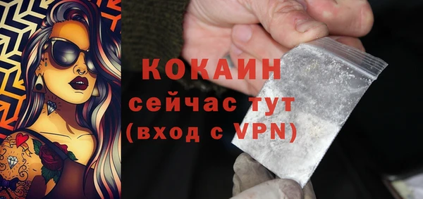гидра Абаза