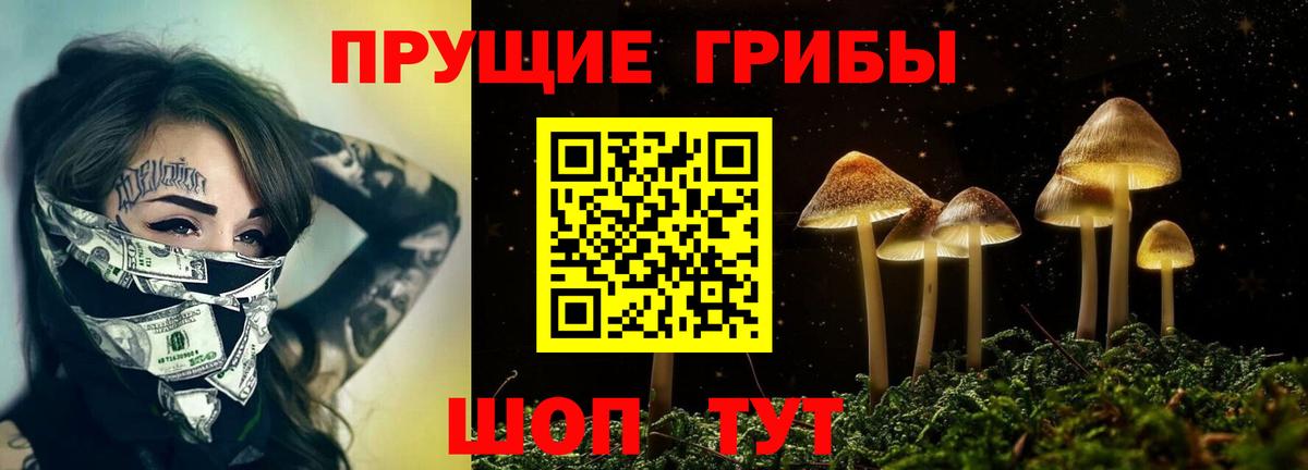 Галлюциногенные грибы прущие грибы Мурино